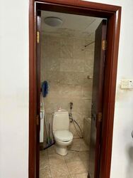 Parc Oasis (D22), Condominium #455696671